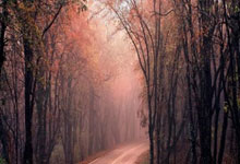 雷火电竞官网：英格兰战拉脱维亚23人名单：利夫拉门托、拉姆斯代尔落选.