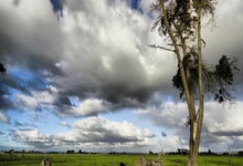 雷火电竞官网：视频-吴天昊20秒降服俄罗斯悍将精彩锁技演K.