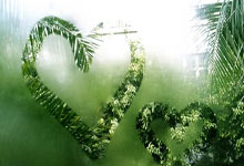 篮球——NBA常规赛：雷霆胜国王.