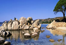 婚内包养奥运冠军，诈骗27位明星近6000万，国脚前妻王媞下场凄惨.